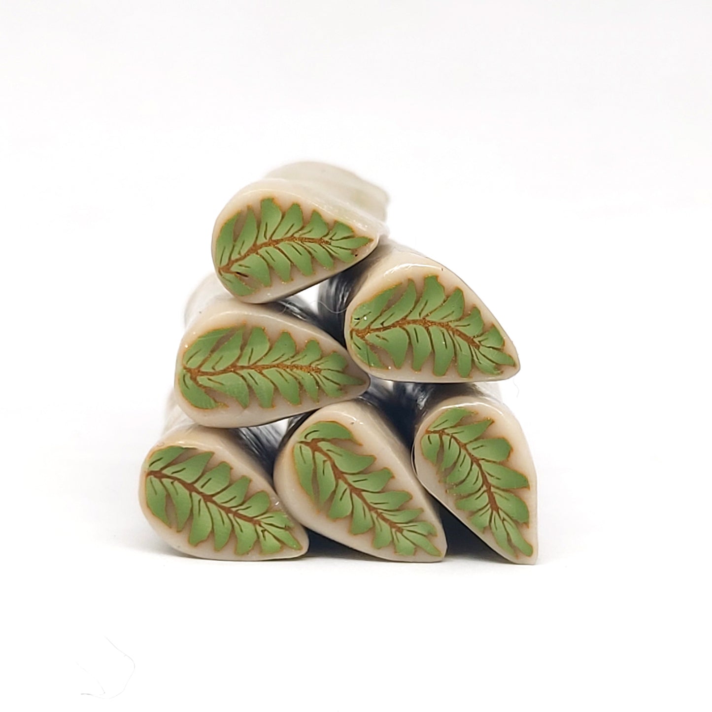 House Plant Leaf Canes