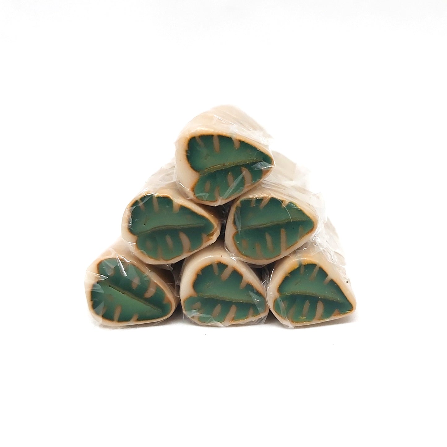 House Plant Leaf Canes