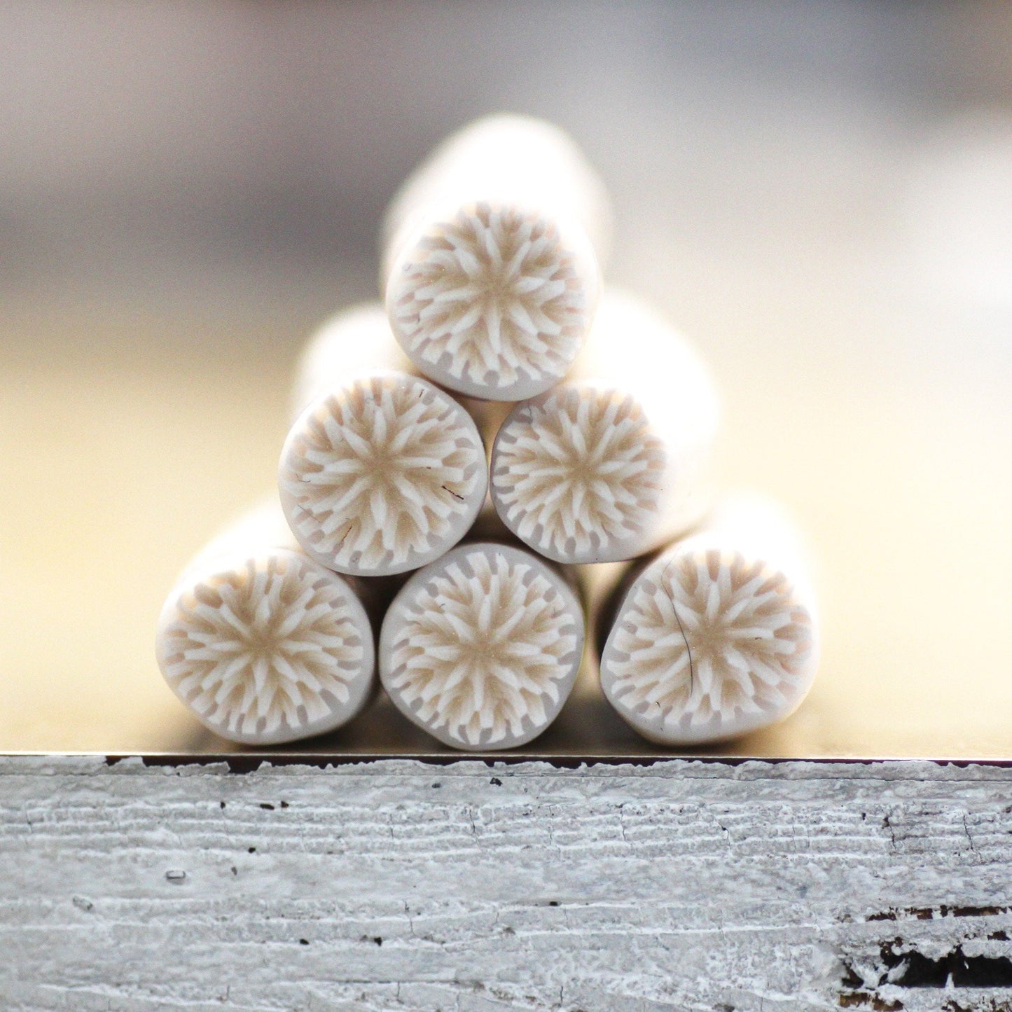 Chrysanthemum Cane