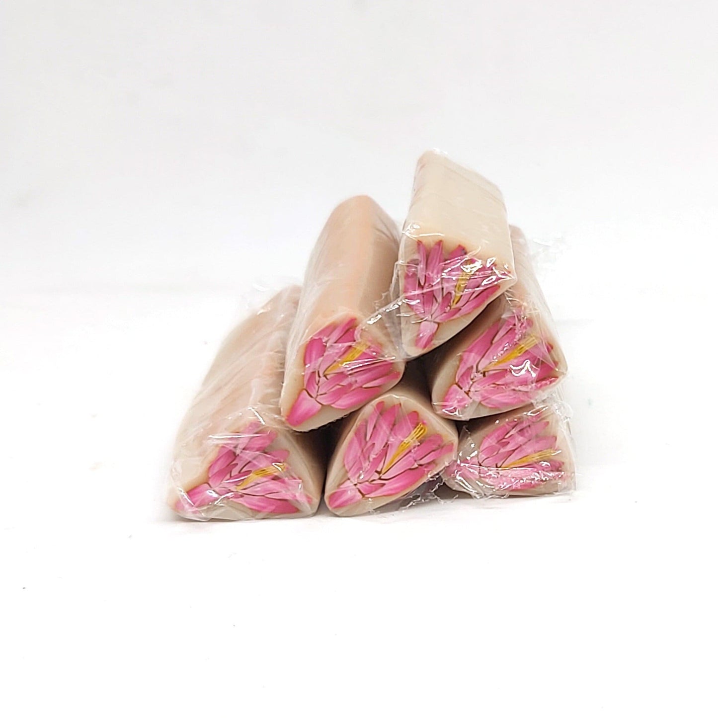 House Plant Leaf Canes