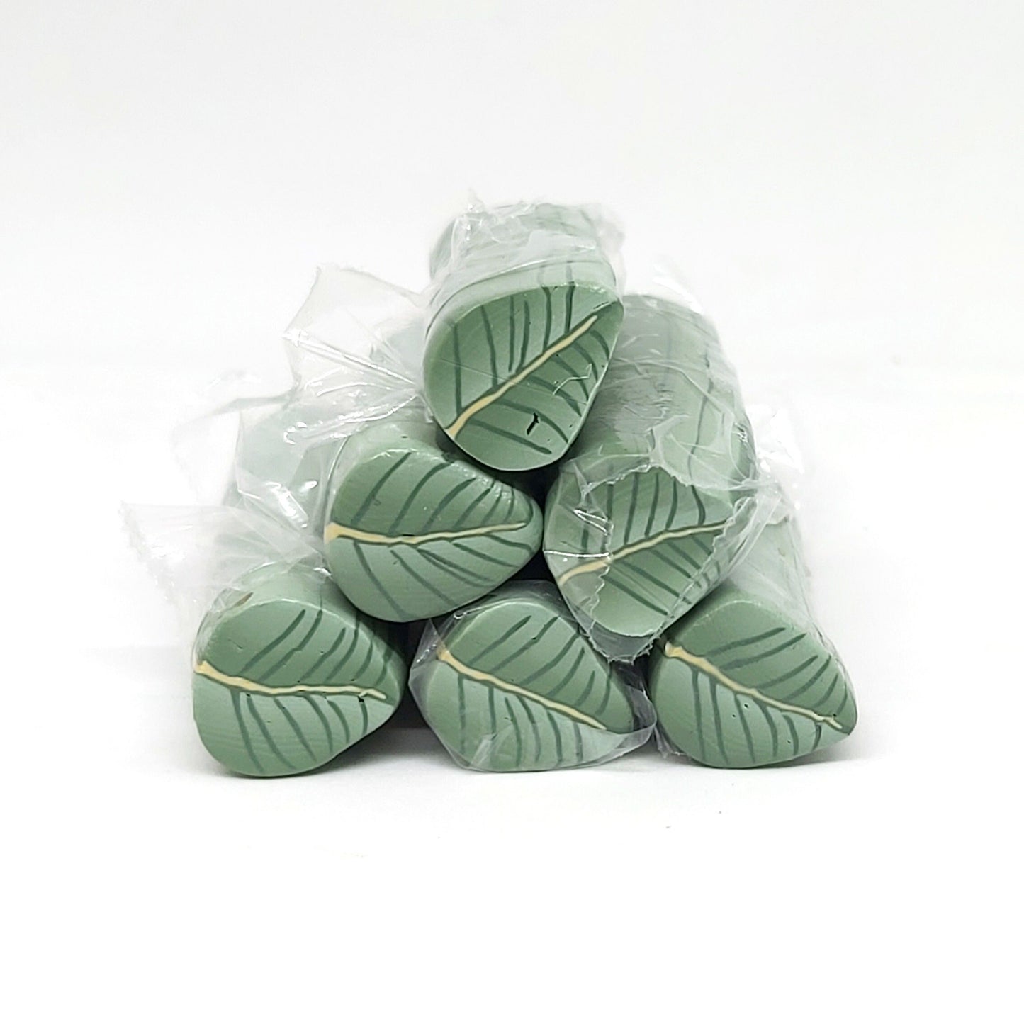 House Plant Leaf Canes