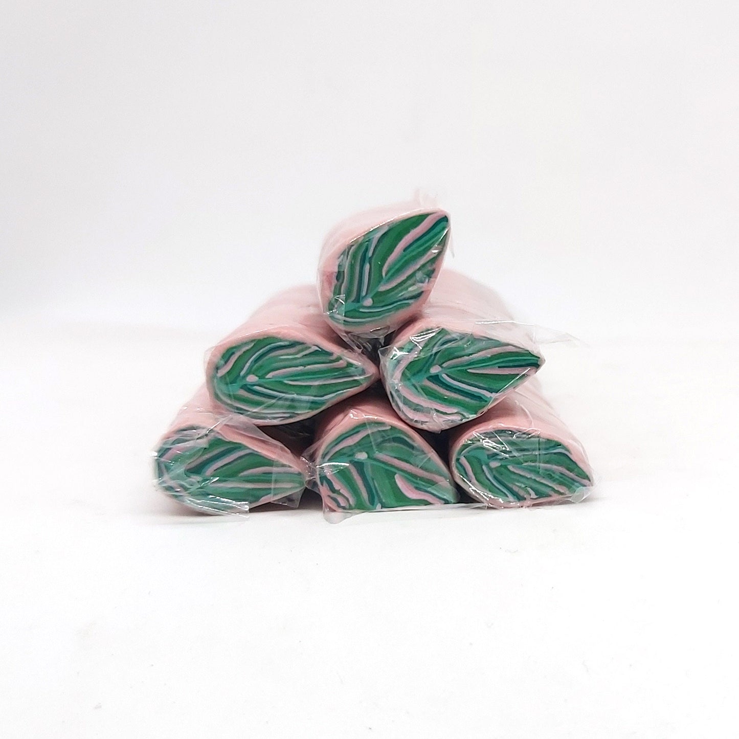 House Plant Leaf Canes