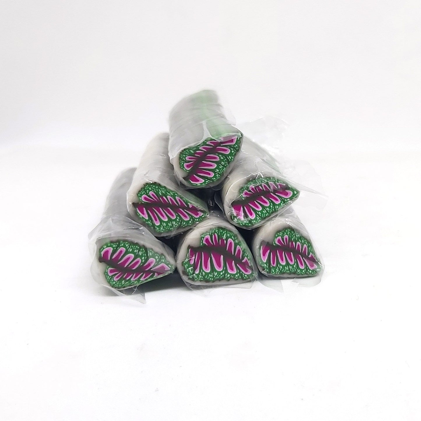 House Plant Leaf Canes
